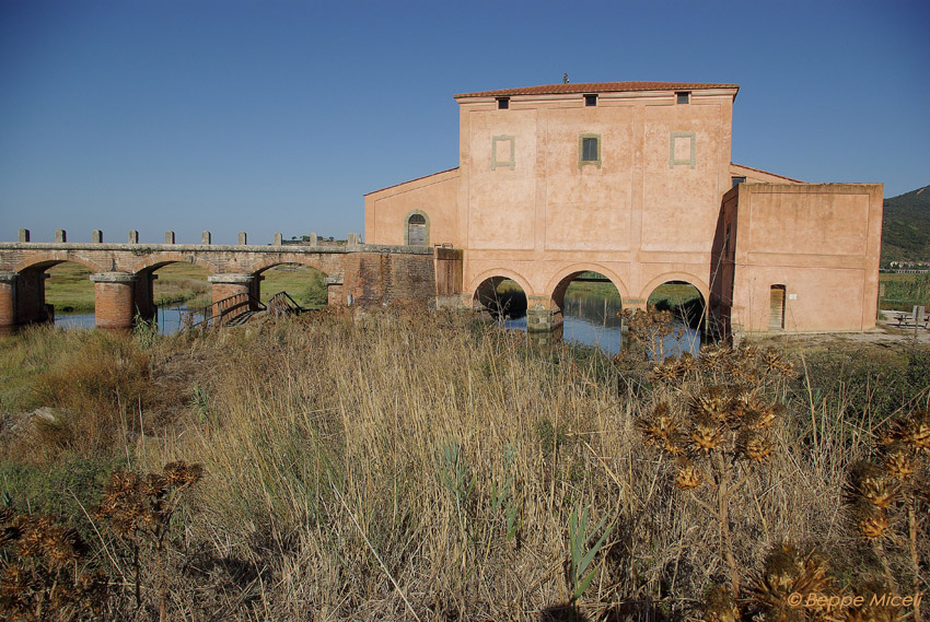 La Diaccia Botrona - Padule di Castiglione della Pescaia